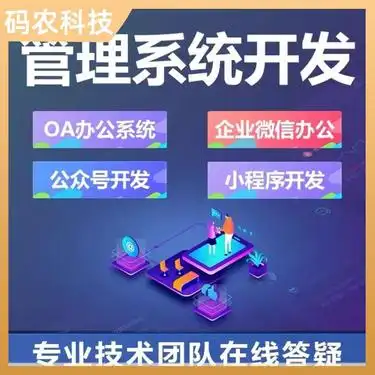 软件开发 网站设计服务 java 游戏系统 售后完美