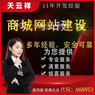 软件开发-网站设计企业建站