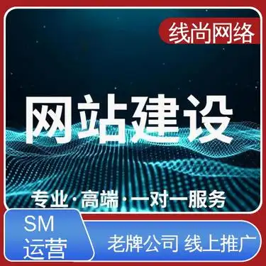 线尚网络 排名稳定展现 专业顾问策划 网站开发