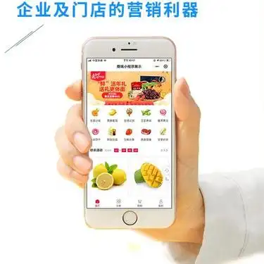 微信商城搭建 微信小程序商城开发 免费部署 专业软件开发