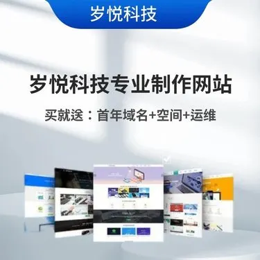 网站建设企业营销策划网络推广服务 商城网站定制开发 S101